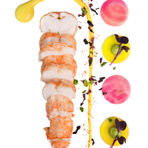 food photography lobster brittany le pochat photographer