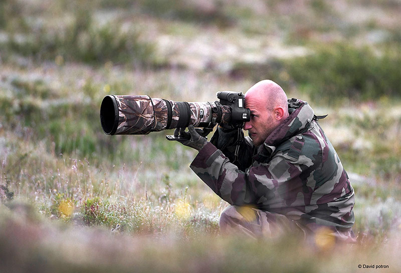 Portrait en action d'Alexanre Boudet photographe animalier